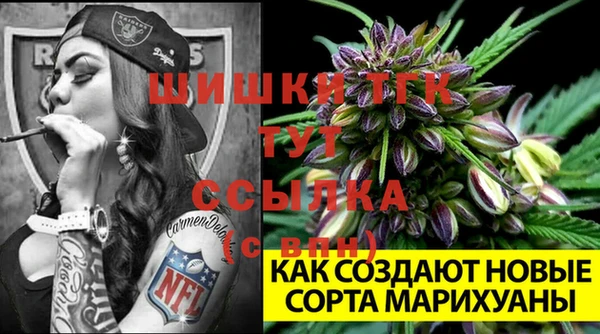 экстази Богородицк