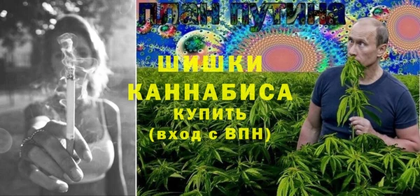 прущий лед Богданович