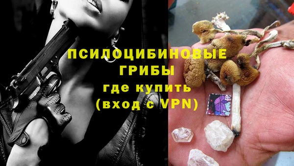 прущий лед Богданович