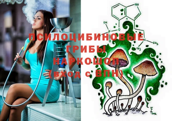 прущий лед Богданович