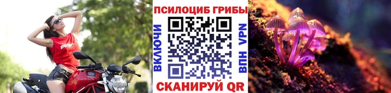 наркота  Качканар  Псилоцибиновые грибы Cubensis 